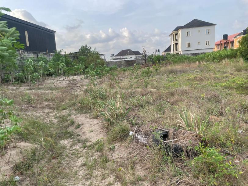 Land for commercial development in Ajah/Lekki Lagos-2